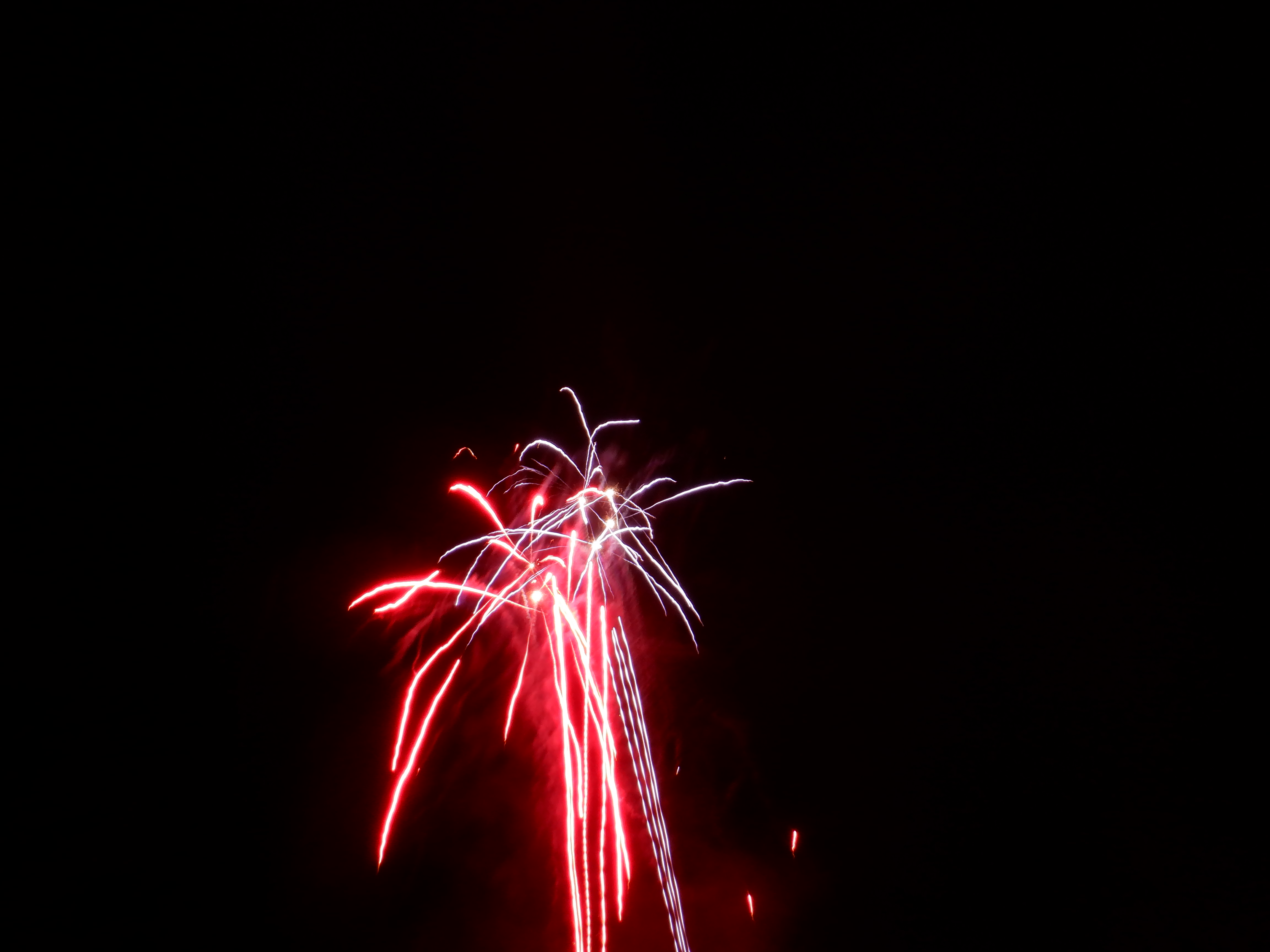 ./2019/15 - Colonial Williamsburg/DSCF0692.JPG